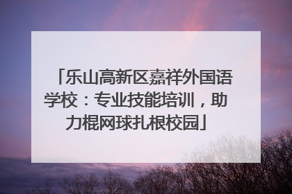 乐山高新区嘉祥外国语学校：专业技能培训，助力棍网球扎根校园