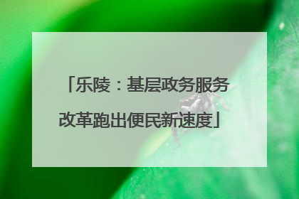 乐陵：基层政务服务改革跑出便民新速度