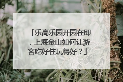 乐高乐园开园在即，上海金山如何让游客吃好住玩得好？