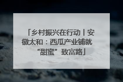 乡村振兴在行动丨安徽太和：西瓜产业铺就“甜蜜”致富路