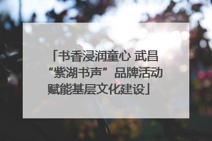 书香浸润童心 武昌“紫湖书声”品牌活动赋能基层文化建设