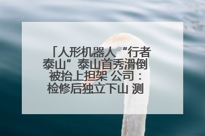 人形机器人“行者泰山”泰山首秀滑倒被抬上担架 公司：检修后独立下山 测试就是为暴露问题
