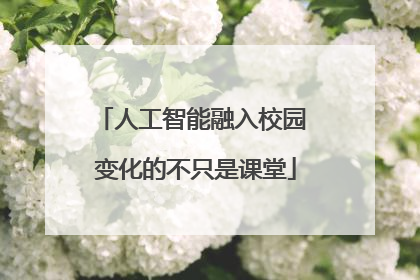 人工智能融入校园 变化的不只是课堂