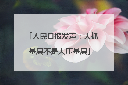 人民日报发声：大抓基层不是大压基层