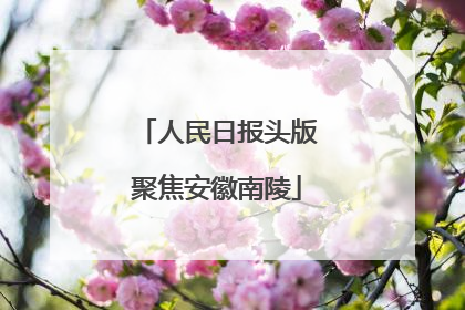 人民日报头版聚焦安徽南陵