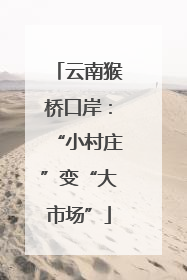 云南猴桥口岸：“小村庄”变“大市场”