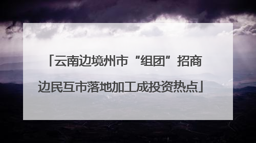 云南边境州市“组团”招商 边民互市落地加工成投资热点