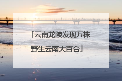 云南龙陵发现万株野生云南大百合