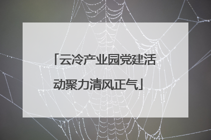 云冷产业园党建活动聚力清风正气
