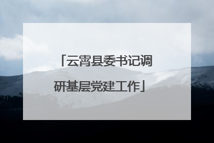 云霄县委书记调研基层党建工作
