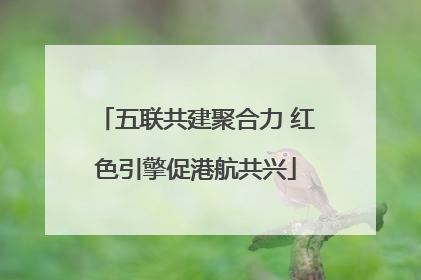 五联共建聚合力 红色引擎促港航共兴