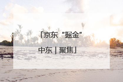 京东“掘金”中东｜聚焦