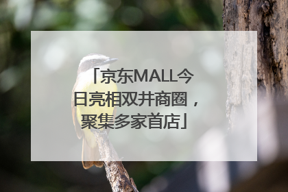 京东MALL今日亮相双井商圈，聚集多家首店