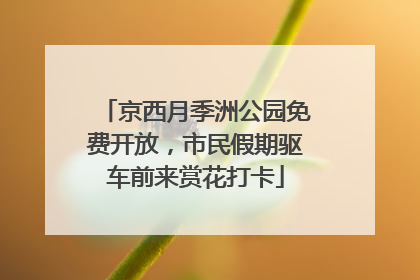 京西月季洲公园免费开放，市民假期驱车前来赏花打卡