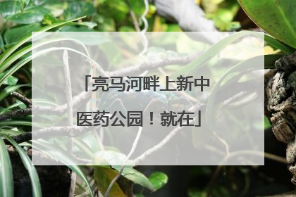 亮马河畔上新中医药公园！就在