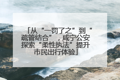 从“一罚了之”到“疏管结合”，咸宁公安探索“柔性执法”提升市民出行体验