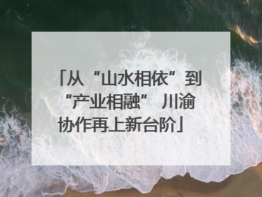 从“山水相依”到“产业相融” 川渝协作再上新台阶