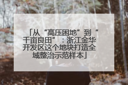 从“高压困地”到“千亩良田”：浙江金华开发区这个地块打造全域整治示范样本