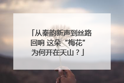 从秦韵新声到丝路回响 这朵“梅花”为何开在天山？