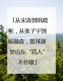 从宋涛到巩晓彬，从张子宇到杨瀚森，篮球逐梦山东“高人”不停歇