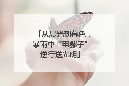 从晨光到暮色：暴雨中“电骡子”逆行送光明