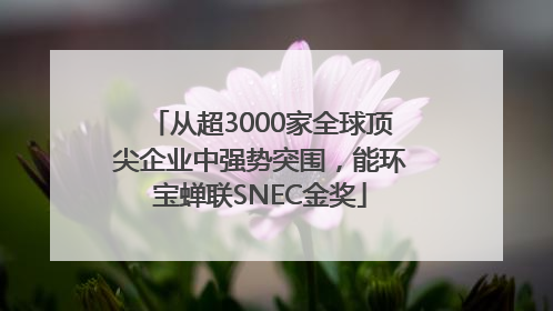 从超3000家全球顶尖企业中强势突围，能环宝蝉联SNEC金奖