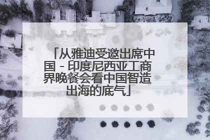 从雅迪受邀出席中国－印度尼西亚工商界晚餐会看中国智造出海的底气