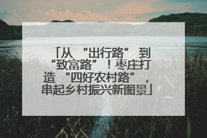 从 “出行路” 到 “致富路”！枣庄打造 “四好农村路”，串起乡村振兴新图景