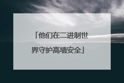 他们在二进制世界守护高墙安全