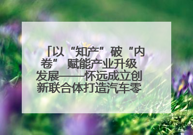 以“知产”破“内卷” 赋能产业升级发展——怀远成立创新联合体打造汽车零部件产业新高地