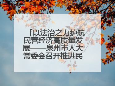 以法治之力护航民营经济高质量发展——泉州市人大常委会召开推进民营经济促进法贯彻实施座谈会