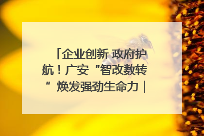 企业创新 政府护航！广安“智改数转”焕发强劲生命力｜市州焕新力