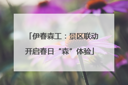 伊春森工：景区联动开启春日“森”体验