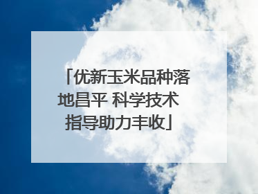 优新玉米品种落地昌平 科学技术指导助力丰收