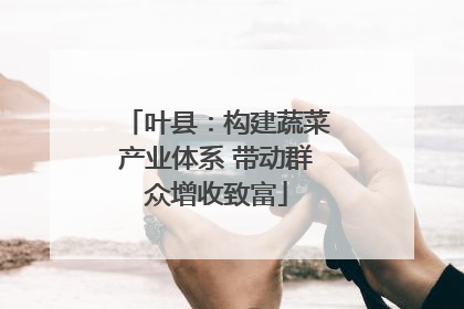 叶县：构建蔬菜产业体系 带动群众增收致富