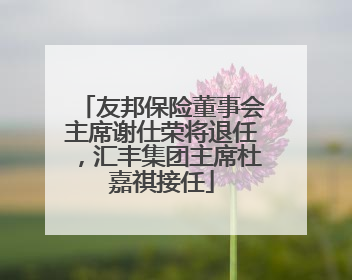 友邦保险董事会主席谢仕荣将退任，汇丰集团主席杜嘉祺接任