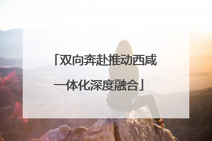 双向奔赴推动西咸一体化深度融合