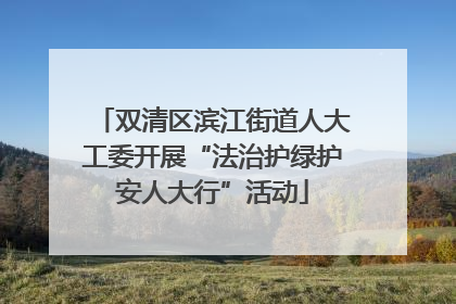 双清区滨江街道人大工委开展“法治护绿护安人大行”活动