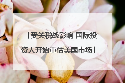 受关税战影响 国际投资人开始重估美国市场