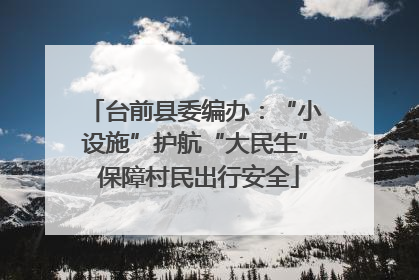 台前县委编办：“小设施”护航“大民生” 保障村民出行安全