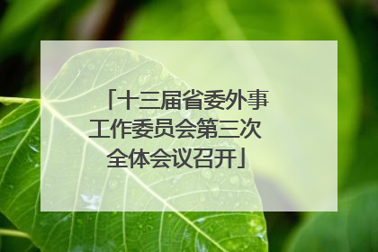 十三届省委外事工作委员会第三次全体会议召开