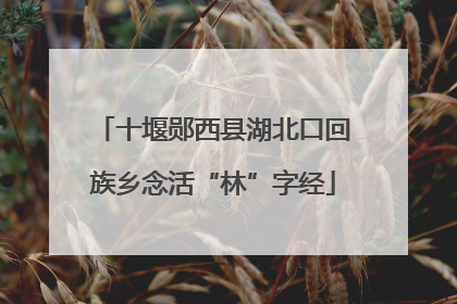 十堰郧西县湖北口回族乡念活“林”字经