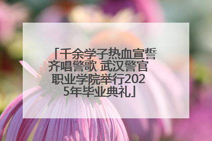 千余学子热血宣誓齐唱警歌 武汉警官职业学院举行2025年毕业典礼