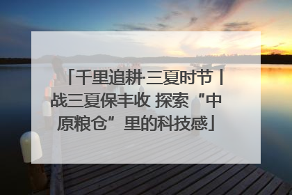 千里追耕·三夏时节丨战三夏保丰收 探索“中原粮仓”里的科技感
