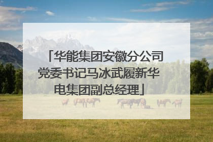 华能集团安徽分公司党委书记马冰武履新华电集团副总经理