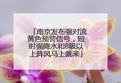 南京发布强对流黄色预警信号，短时强降水和8级以上阵风马上就来