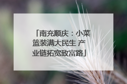 南充顺庆：小菜篮装满大民生 产业链拓宽致富路
