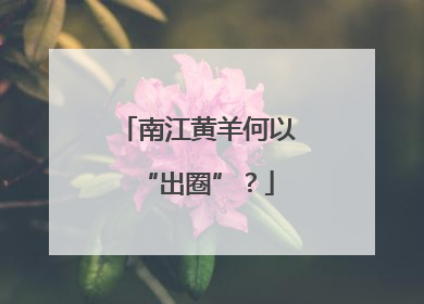 南江黄羊何以“出圈”？
