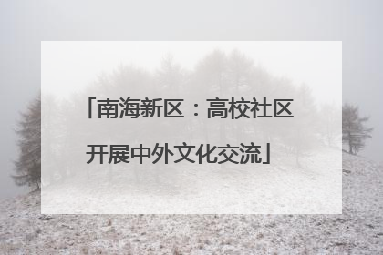 南海新区：高校社区开展中外文化交流