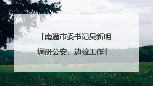 南通市委书记吴新明调研公安、边检工作